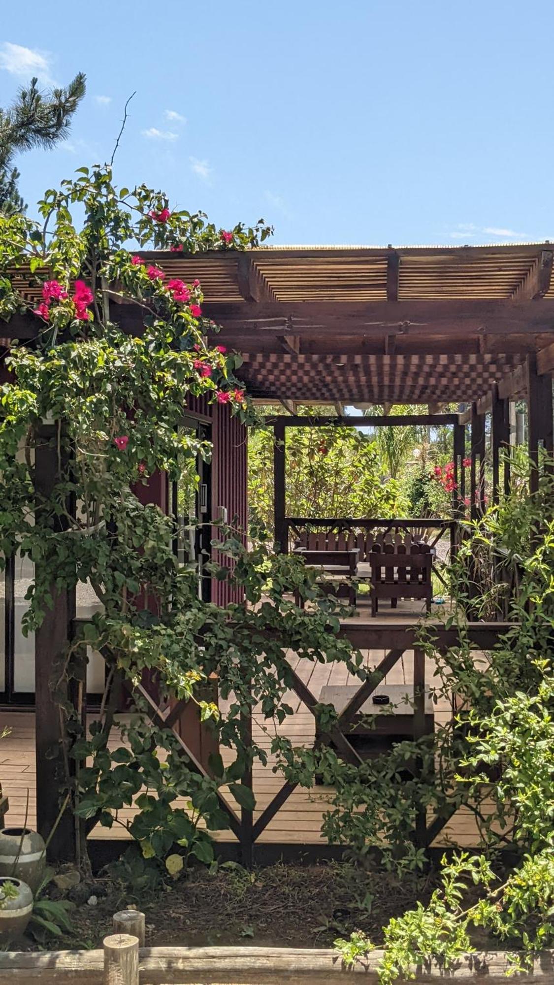 Resort 77 Piriápolis Dış mekan fotoğraf