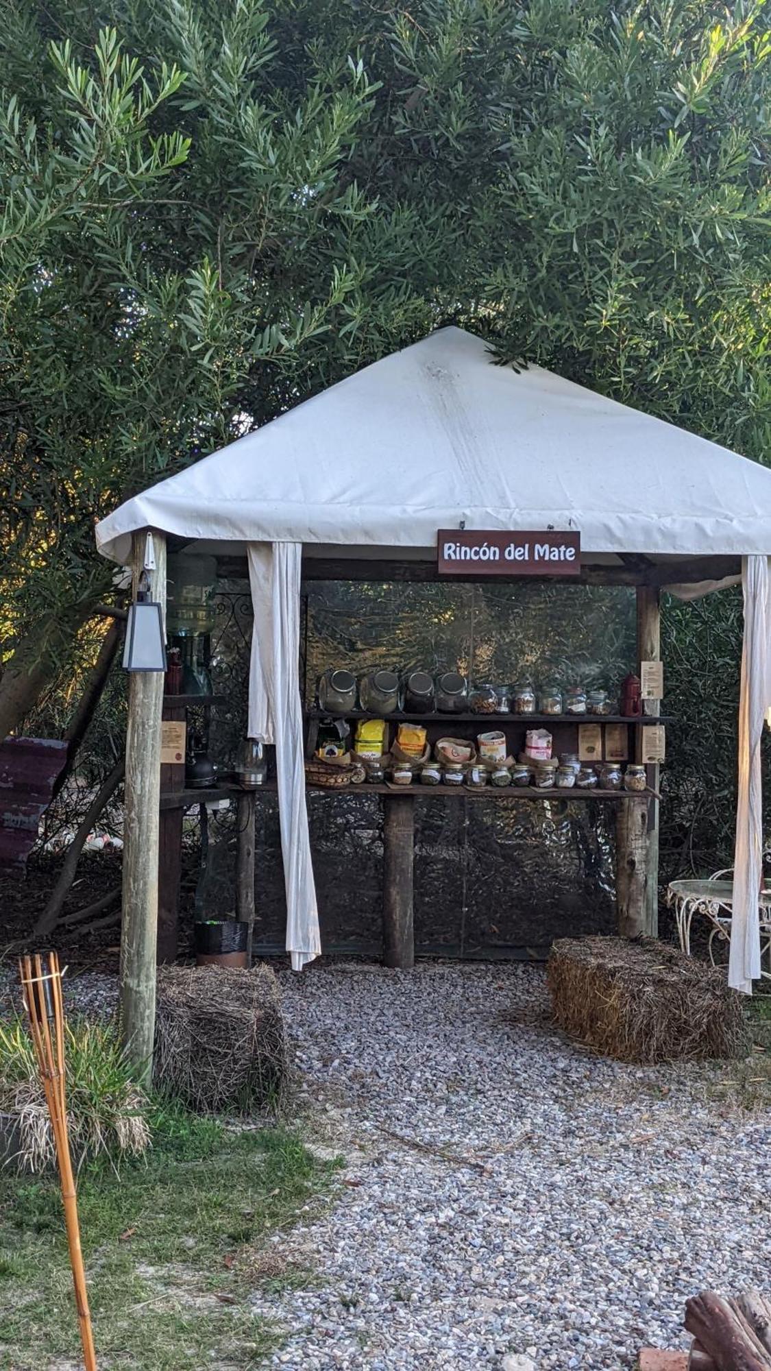 Resort 77 Piriápolis Dış mekan fotoğraf